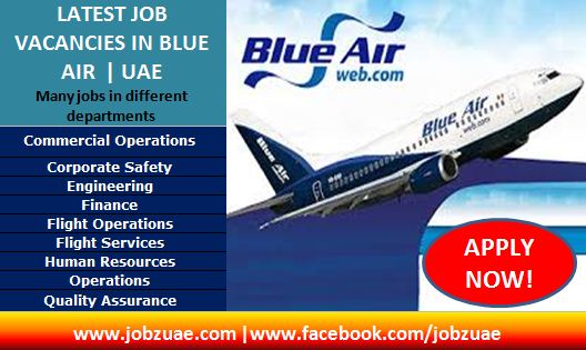 blueair revenue
