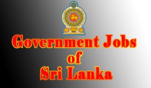 Srilankan Jobs