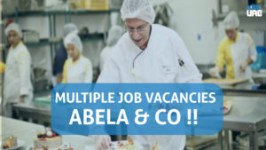 abela and co jobs