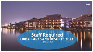 dubai park and resort job